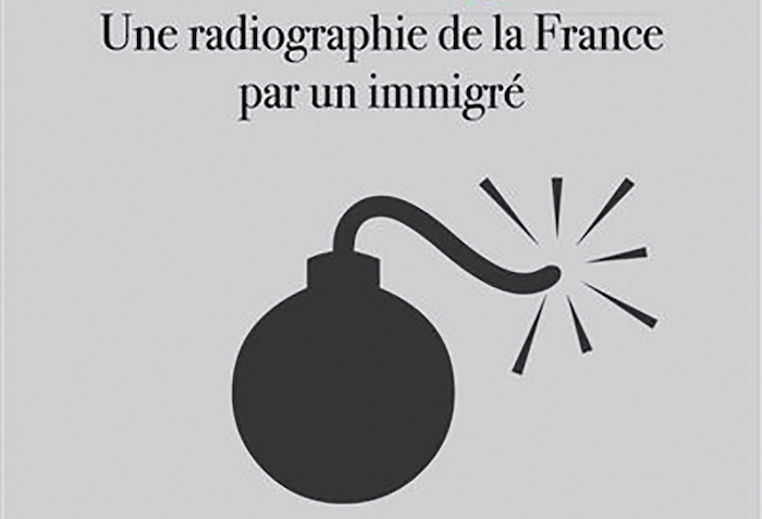 Une radiographie de la France par un immigré