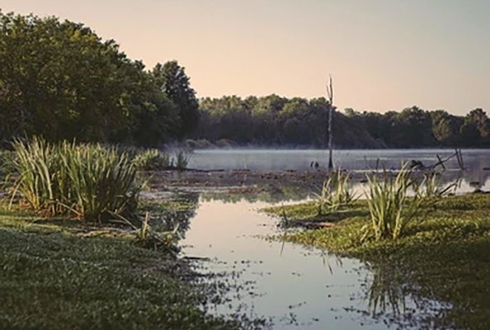 Petits patrimoines, grandes richesses