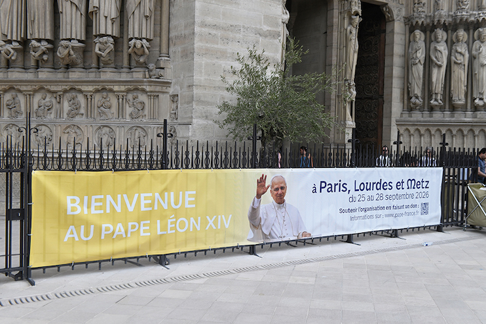 La venue du Pape en France